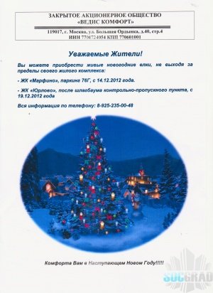 Организация незаконной торговли и складирования сосны в многоэтажном паркинге Организация незаконной торговли и складирования сосны в многоэтажном паркинге