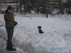 Это сами собачники, которые разумеется, пока на детской площадке дети, гуляют в стороне. Это сами собачники, которые разумеется, пока на детской площадке дети, гуляют в стороне.