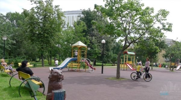 какие деревья сажать во дворе какие деревья сажать во дворе