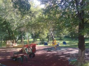 наша роща наша роща